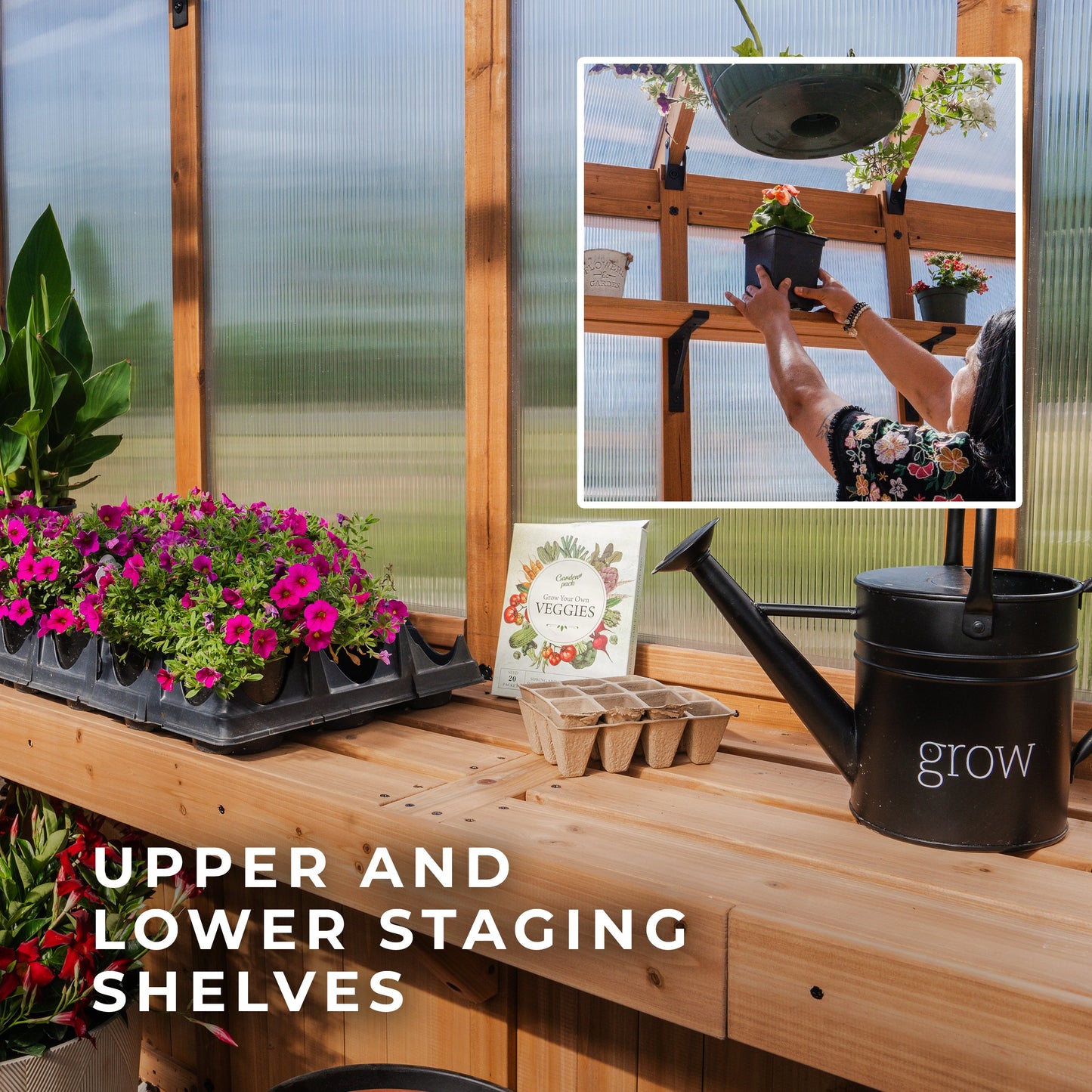 13x11 Bellerose XL Greenhouse