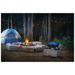 Napoleon TQ285-BL-1 Portable Gas Grill - Blue