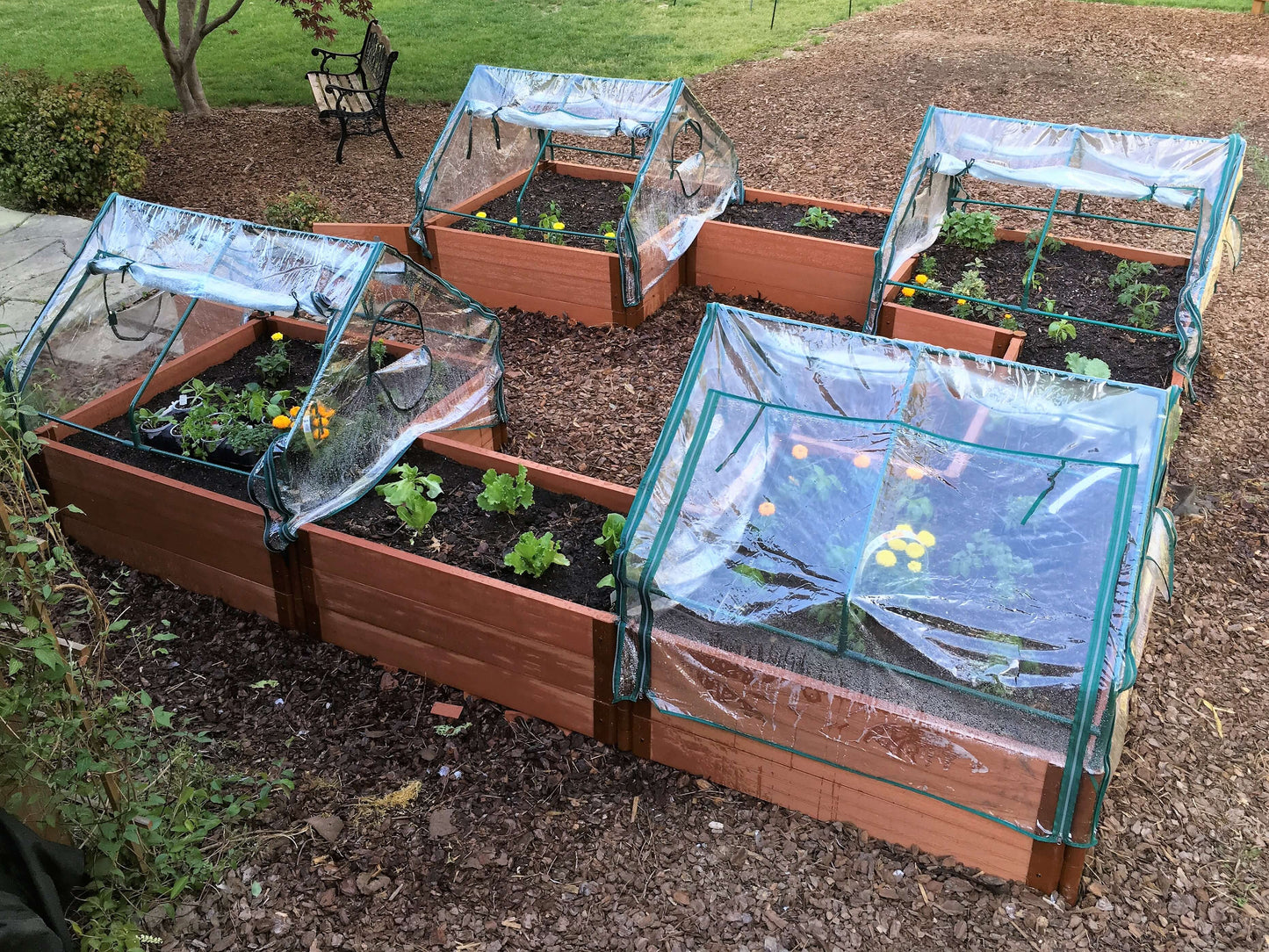Walk-In 'Center Cross' 12' x 12' Animal Barrier Raised Garden Bed - 2" Profile
